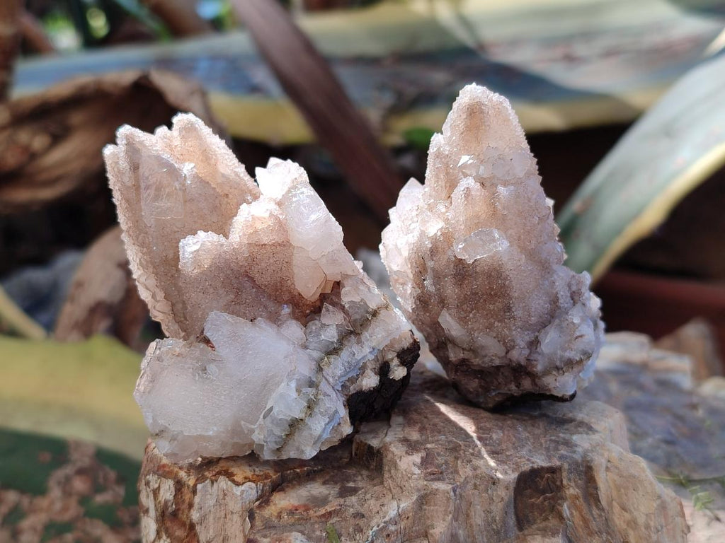 Natural Drusy Snow Finger Quartz Calcite Pseudomorph Crystals x 24 From Albert's Mountain, Lesotho - Toprock Gemstones and Minerals 