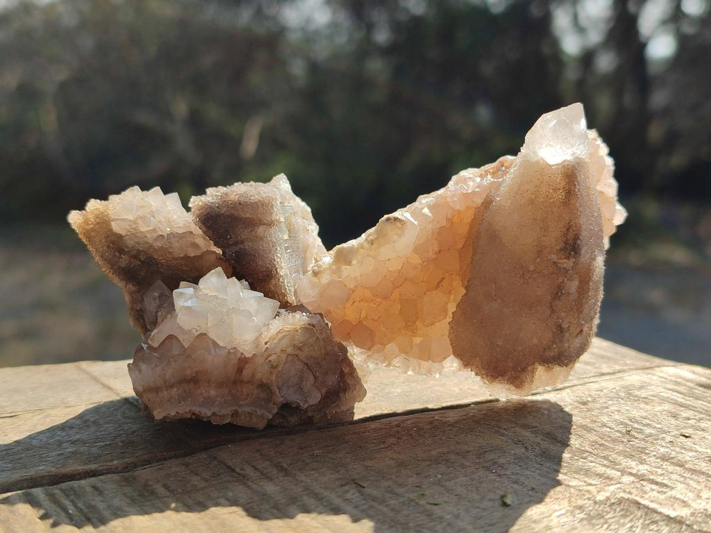 Natural Drusy Snow Finger Quartz Calcite Pseudomorph Crystals x 24 From Albert's Mountain, Lesotho - Toprock Gemstones and Minerals 