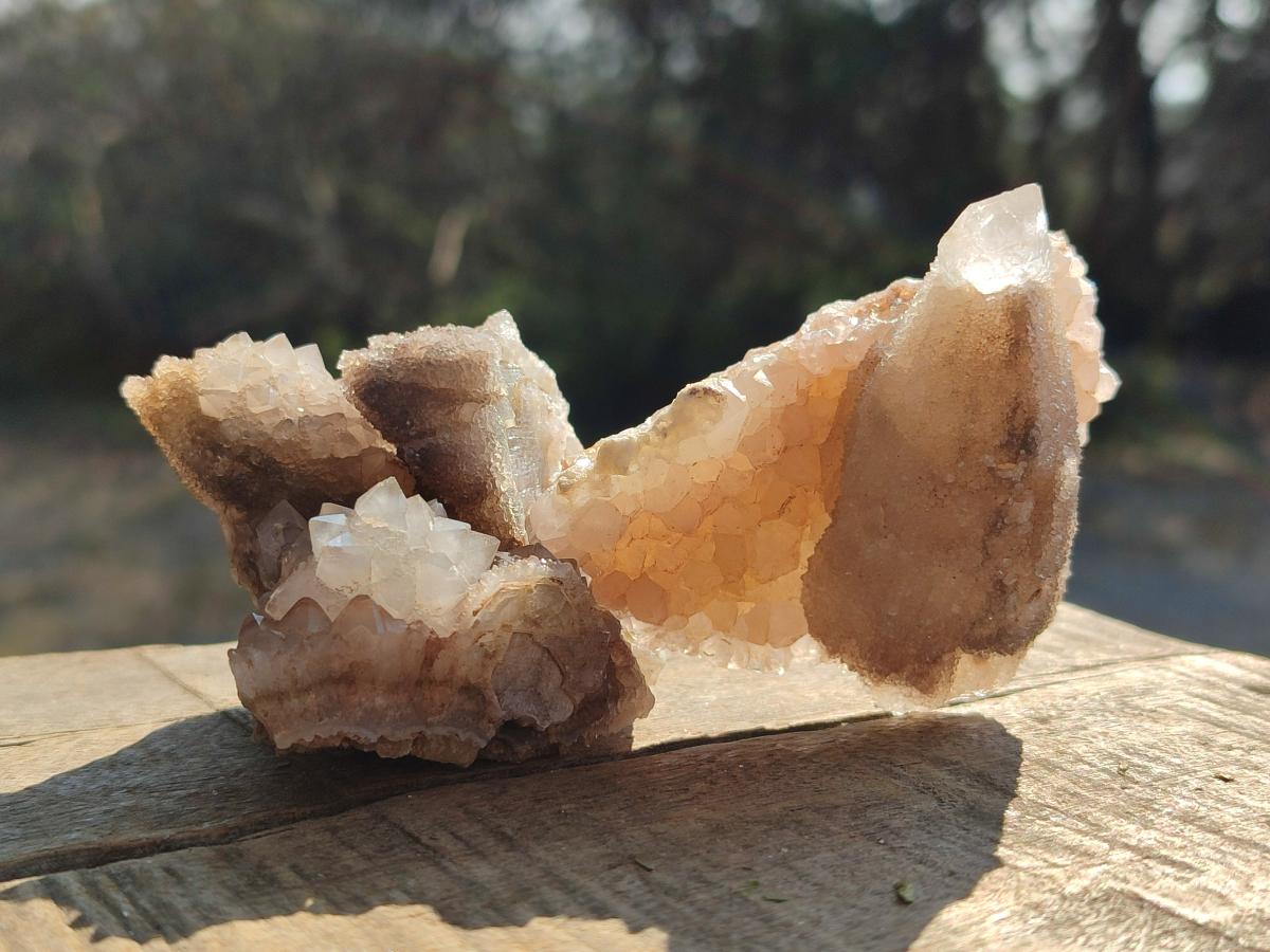 Natural Drusy Snow Finger Quartz Calcite Pseudomorph Crystals x 24 From Albert's Mountain, Lesotho - Toprock Gemstones and Minerals 