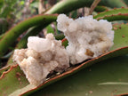 Natural Drusy Snow Finger Quartz Calcite Pseudomorph Crystals x 24 From Albert's Mountain, Lesotho - Toprock Gemstones and Minerals 