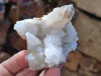 Natural Drusy Snow Finger Quartz Calcite Pseudomorph Crystals x 24 From Albert's Mountain, Lesotho - Toprock Gemstones and Minerals 