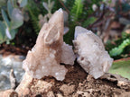 Natural Drusy Snow Finger Quartz Calcite Pseudomorph Crystals x 24 From Albert's Mountain, Lesotho - Toprock Gemstones and Minerals 