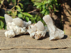 Natural Drusy Snow Finger Quartz Calcite Pseudomorph Crystals x 24 From Albert's Mountain, Lesotho - Toprock Gemstones and Minerals 