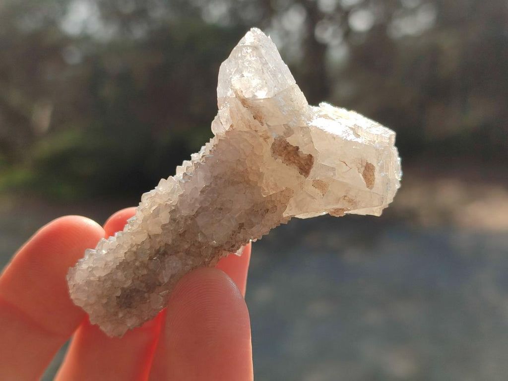 Natural Drusy Snow Finger Quartz Calcite Pseudomorph Crystals x 24 From Albert's Mountain, Lesotho - Toprock Gemstones and Minerals 