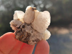 Natural Drusy Snow Finger Quartz Calcite Pseudomorph Crystals x 24 From Albert's Mountain, Lesotho - Toprock Gemstones and Minerals 
