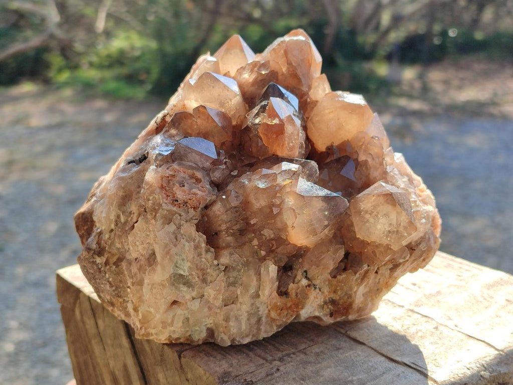 Natural Large Cascading White Phantom Smokey Luena Quartz Cluster x 1 From Luena, Congo - Toprock Gemstones and Minerals 