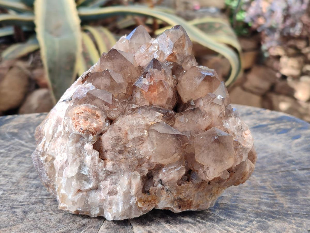 Natural Large Cascading White Phantom Smokey Luena Quartz Cluster x 1 From Luena, Congo - Toprock Gemstones and Minerals 