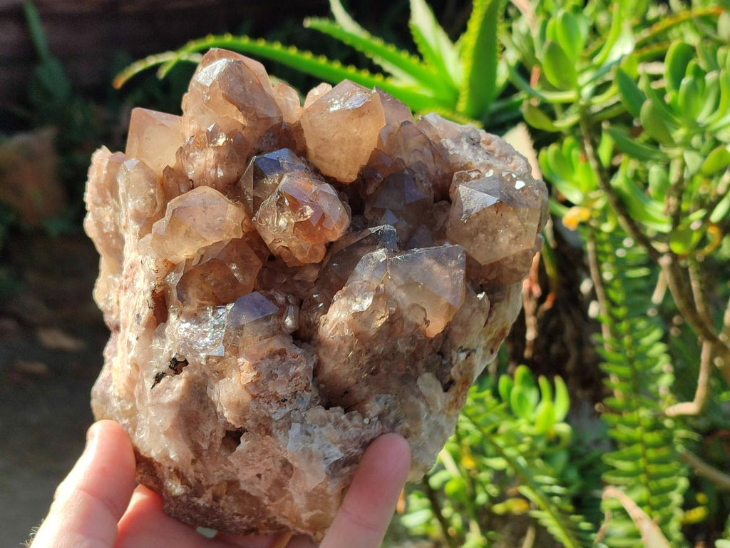 Natural Large Cascading White Phantom Smokey Luena Quartz Cluster x 1 From Luena, Congo - Toprock Gemstones and Minerals 