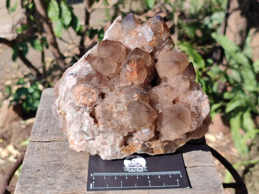 Natural Large Cascading White Phantom Smokey Luena Quartz Cluster x 1 From Luena, Congo - Toprock Gemstones and Minerals 