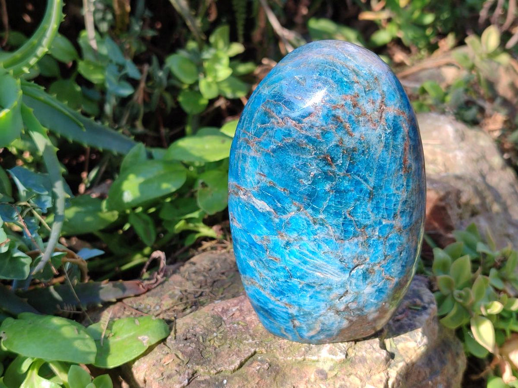 Polished Blue Apatite Standing Display Pieces x 3 From Betroka, Madagascar - Toprock Gemstones and Minerals 