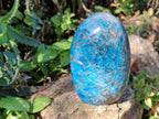 Polished Blue Apatite Standing Display Pieces x 3 From Betroka, Madagascar - Toprock Gemstones and Minerals 