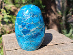 Polished Blue Apatite Standing Display Pieces x 3 From Betroka, Madagascar - Toprock Gemstones and Minerals 