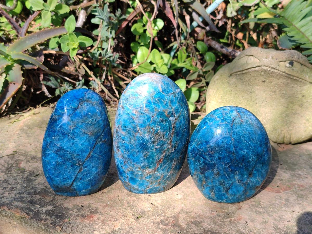 Polished Blue Apatite Standing Display Pieces x 3 From Betroka, Madagascar - Toprock Gemstones and Minerals 
