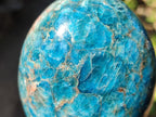 Polished Blue Apatite Standing Display Pieces x 3 From Betroka, Madagascar - Toprock Gemstones and Minerals 