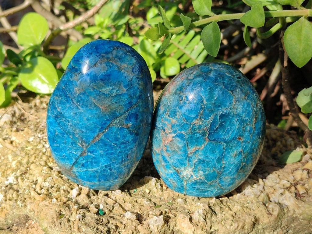 Polished Blue Apatite Standing Display Pieces x 3 From Betroka, Madagascar - Toprock Gemstones and Minerals 
