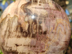 Polished Large Red Podocarpus Petrified Wood Sphere x 1 From Mahajanga, Madagascar - Toprock Gemstones and Minerals 