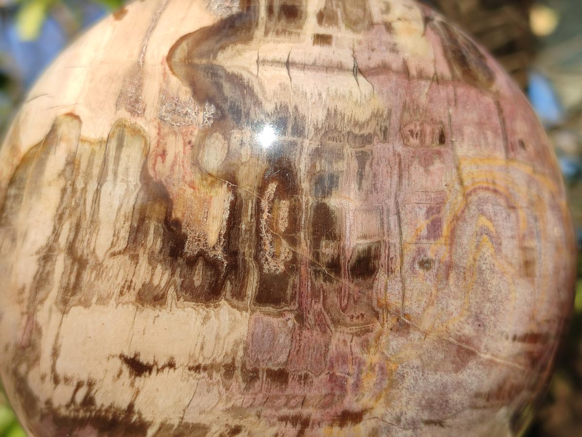 Polished Large Red Podocarpus Petrified Wood Sphere x 1 From Mahajanga, Madagascar - Toprock Gemstones and Minerals 