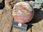 Polished Large Red Podocarpus Petrified Wood Sphere x 1 From Mahajanga, Madagascar - Toprock Gemstones and Minerals 