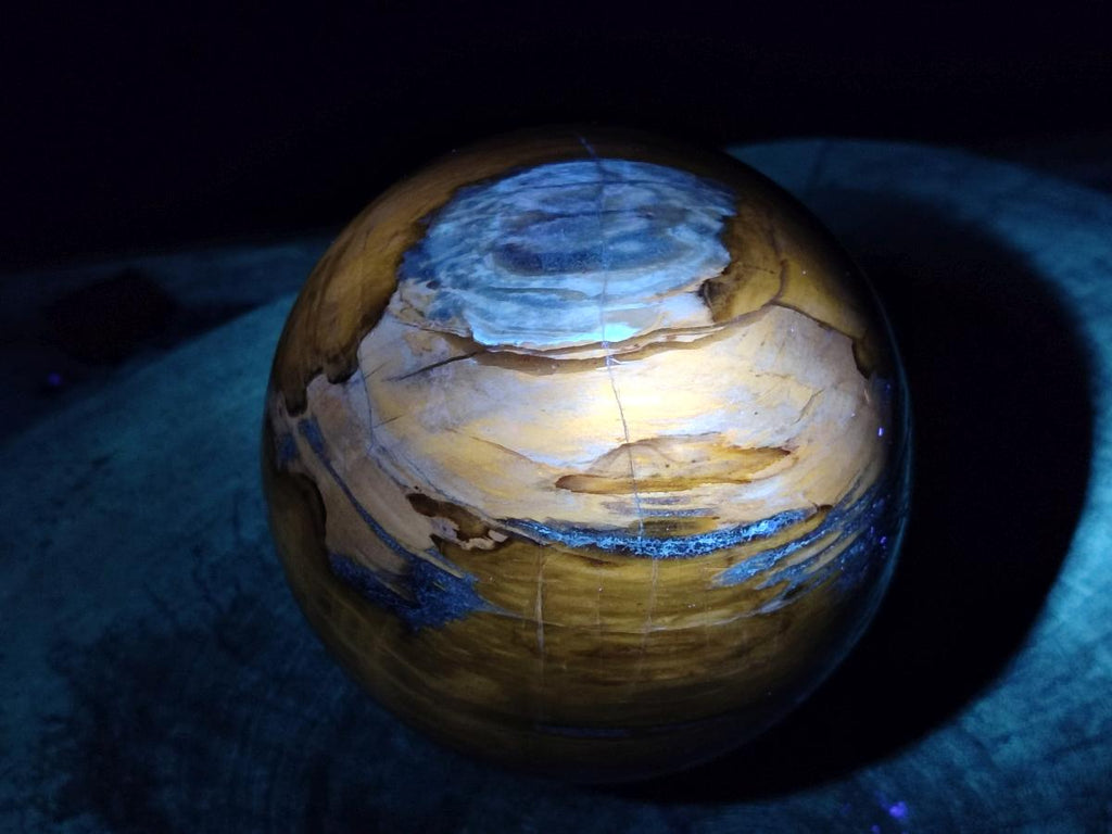 Polished Large Red Podocarpus Petrified Wood Sphere x 1 From Mahajanga, Madagascar - Toprock Gemstones and Minerals 