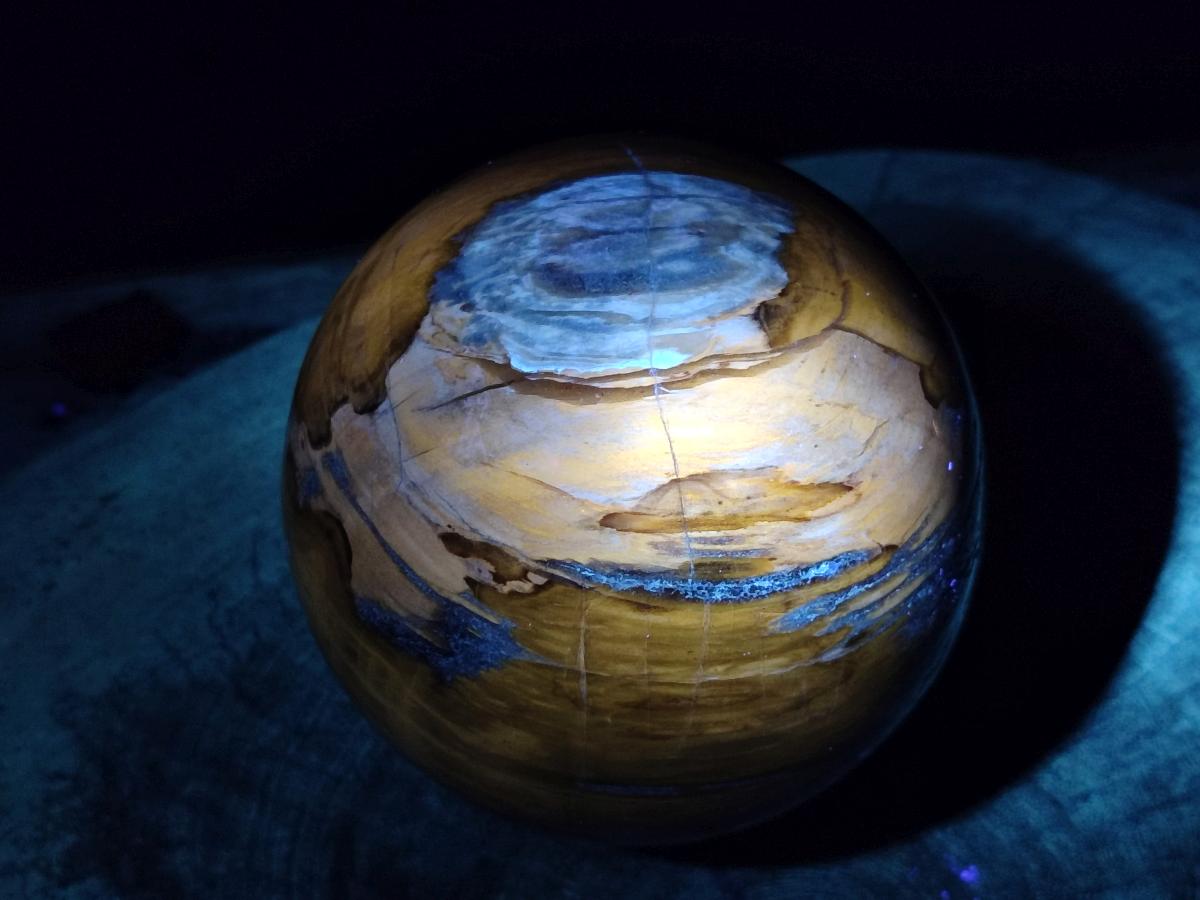 Polished Large Red Podocarpus Petrified Wood Sphere x 1 From Mahajanga, Madagascar - Toprock Gemstones and Minerals 