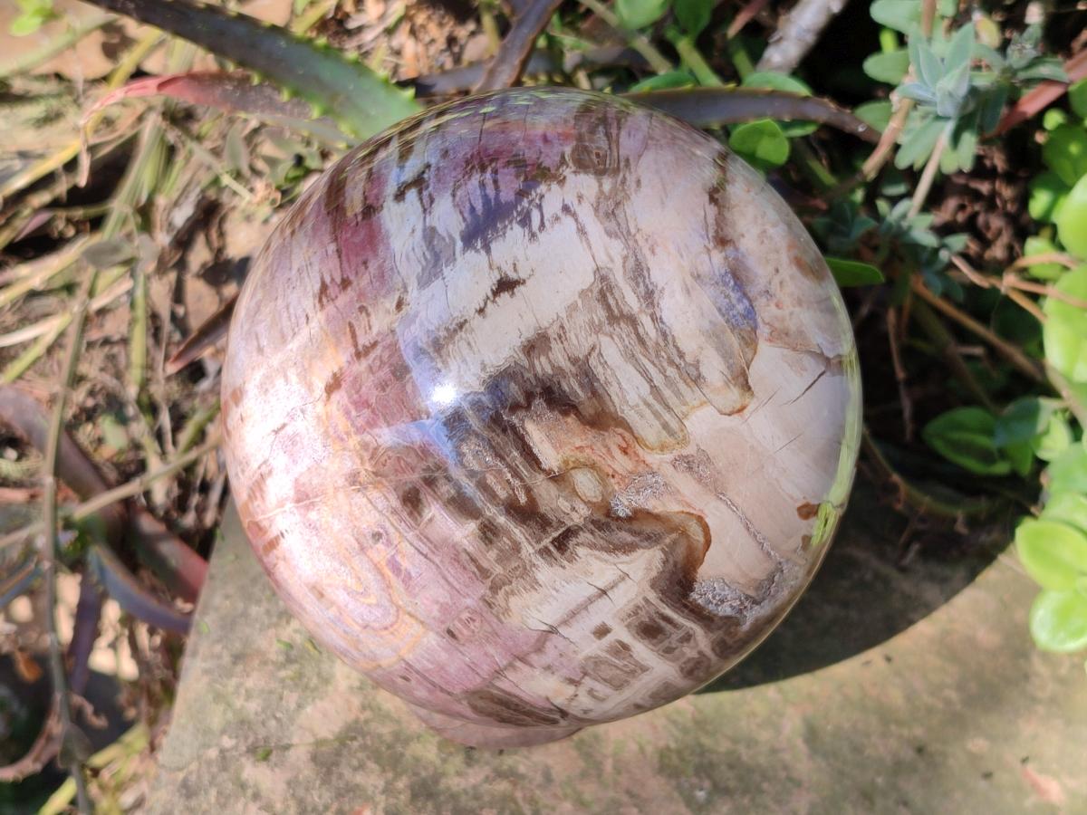 Polished Large Red Podocarpus Petrified Wood Sphere x 1 From Mahajanga, Madagascar - Toprock Gemstones and Minerals 