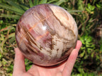 Polished Large Red Podocarpus Petrified Wood Sphere x 1 From Mahajanga, Madagascar - Toprock Gemstones and Minerals 