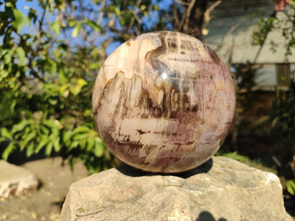 Polished Large Red Podocarpus Petrified Wood Sphere x 1 From Mahajanga, Madagascar - Toprock Gemstones and Minerals 