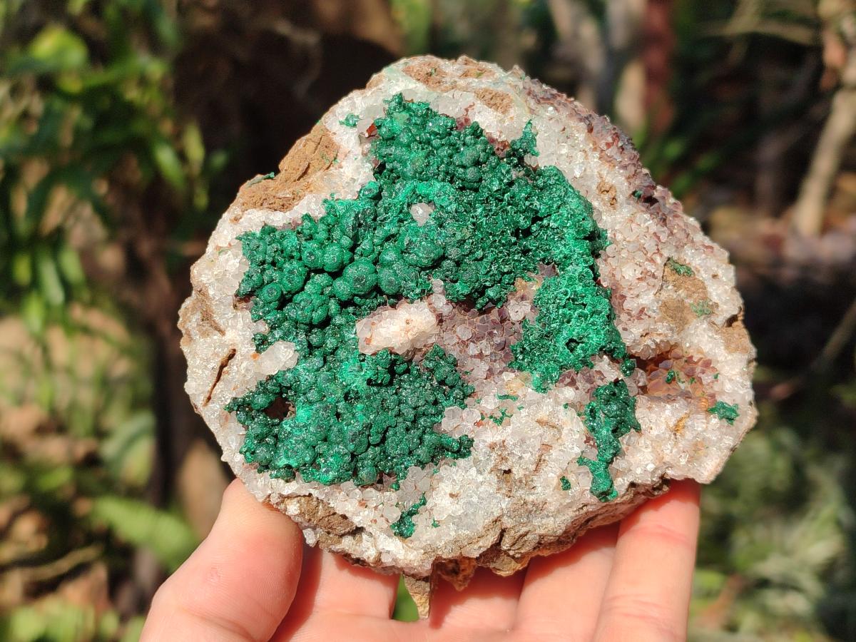Natural Cabinet Size Ball Malachite Specimens Coated with Drusy Quartz on Dolomite x 2 From Mindingi Mine, Congo - Toprock Gemstones and Minerals 