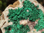 Natural Cabinet Size Ball Malachite Specimens Coated with Drusy Quartz on Dolomite x 2 From Mindingi Mine, Congo - Toprock Gemstones and Minerals 