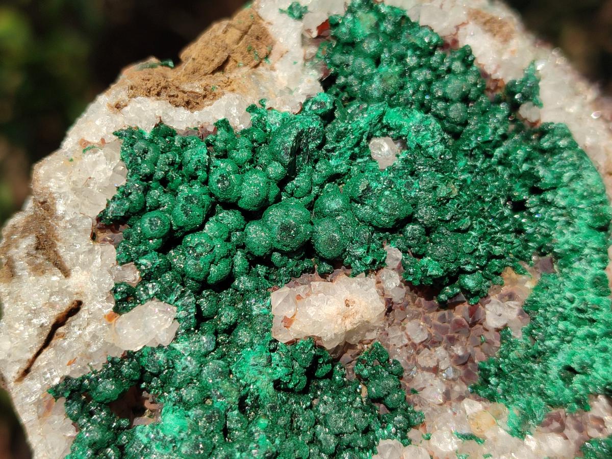 Natural Cabinet Size Ball Malachite Specimens Coated with Drusy Quartz on Dolomite x 2 From Mindingi Mine, Congo - Toprock Gemstones and Minerals 