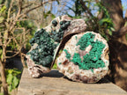 Natural Cabinet Size Ball Malachite Specimens Coated with Drusy Quartz on Dolomite x 2 From Mindingi Mine, Congo - Toprock Gemstones and Minerals 