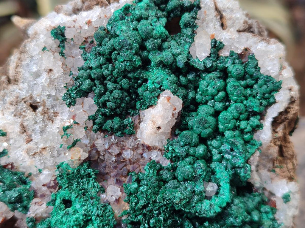 Natural Cabinet Size Ball Malachite Specimens Coated with Drusy Quartz on Dolomite x 2 From Mindingi Mine, Congo - Toprock Gemstones and Minerals 