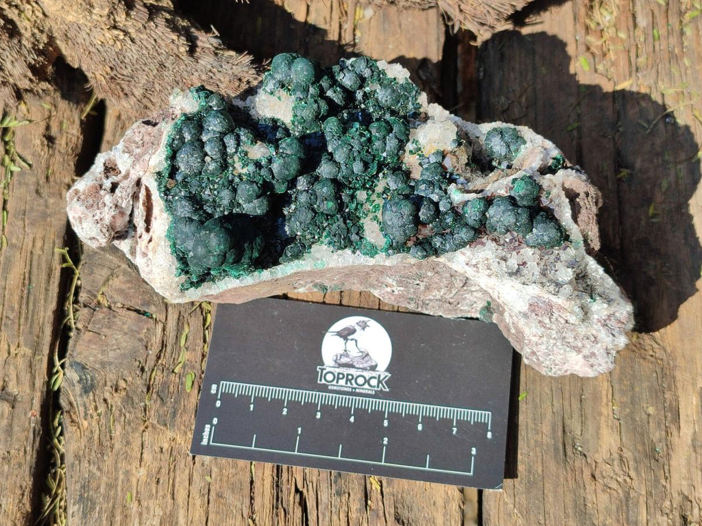 Natural Cabinet Size Ball Malachite Specimens Coated with Drusy Quartz on Dolomite x 2 From Mindingi Mine, Congo - Toprock Gemstones and Minerals 