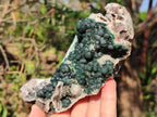 Natural Cabinet Size Ball Malachite Specimens Coated with Drusy Quartz on Dolomite x 2 From Mindingi Mine, Congo - Toprock Gemstones and Minerals 