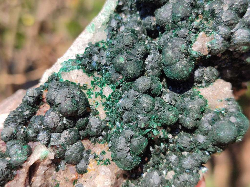 Natural Cabinet Size Ball Malachite Specimens Coated with Drusy Quartz on Dolomite x 2 From Mindingi Mine, Congo - Toprock Gemstones and Minerals 