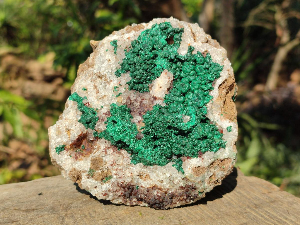 Natural Cabinet Size Ball Malachite Specimens Coated with Drusy Quartz on Dolomite x 2 From Mindingi Mine, Congo - Toprock Gemstones and Minerals 