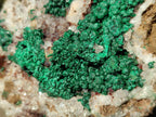 Natural Cabinet Size Ball Malachite Specimens Coated with Drusy Quartz on Dolomite x 2 From Mindingi Mine, Congo - Toprock Gemstones and Minerals 