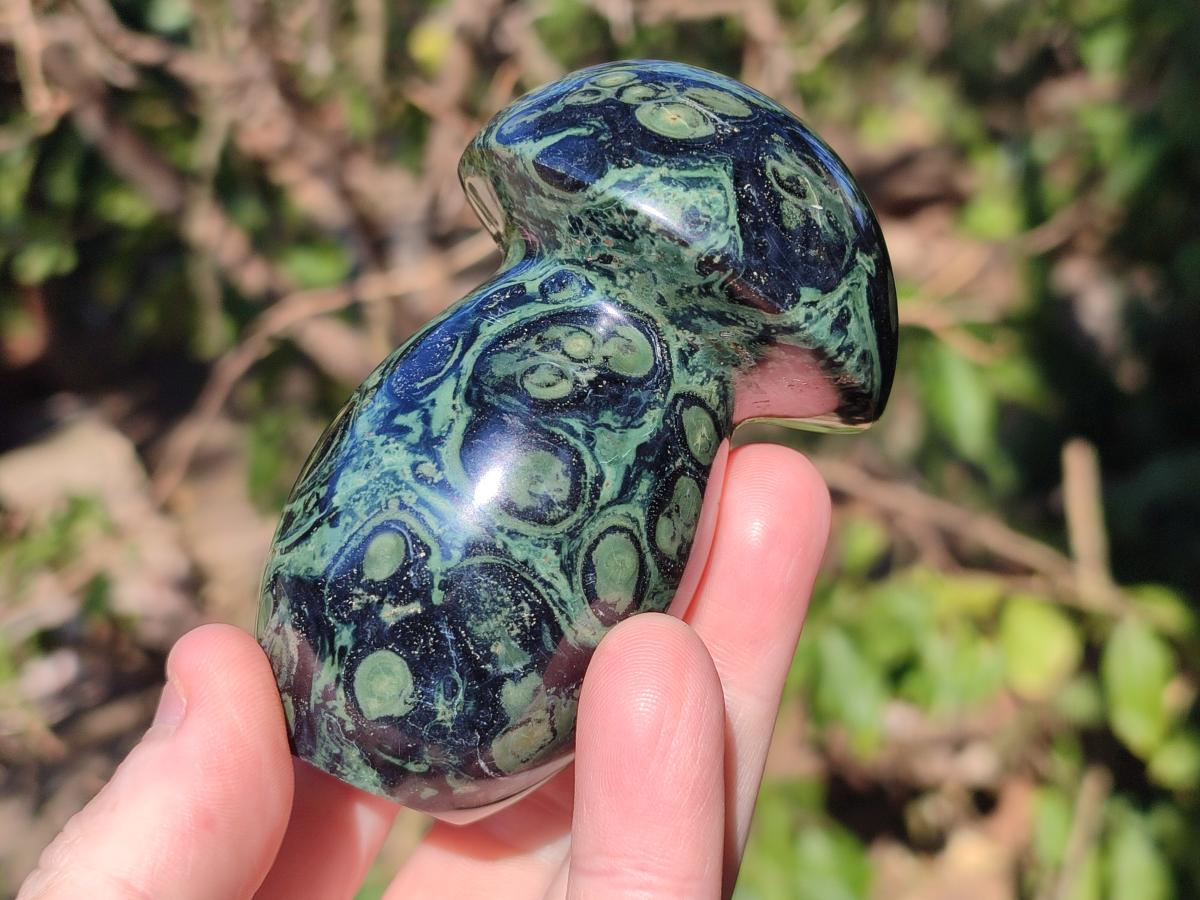 Polished Stromatolite "Kambaba Jasper" Mushrooms x 12 From Katsepy, Madagascar - Toprock Gemstones and Minerals 