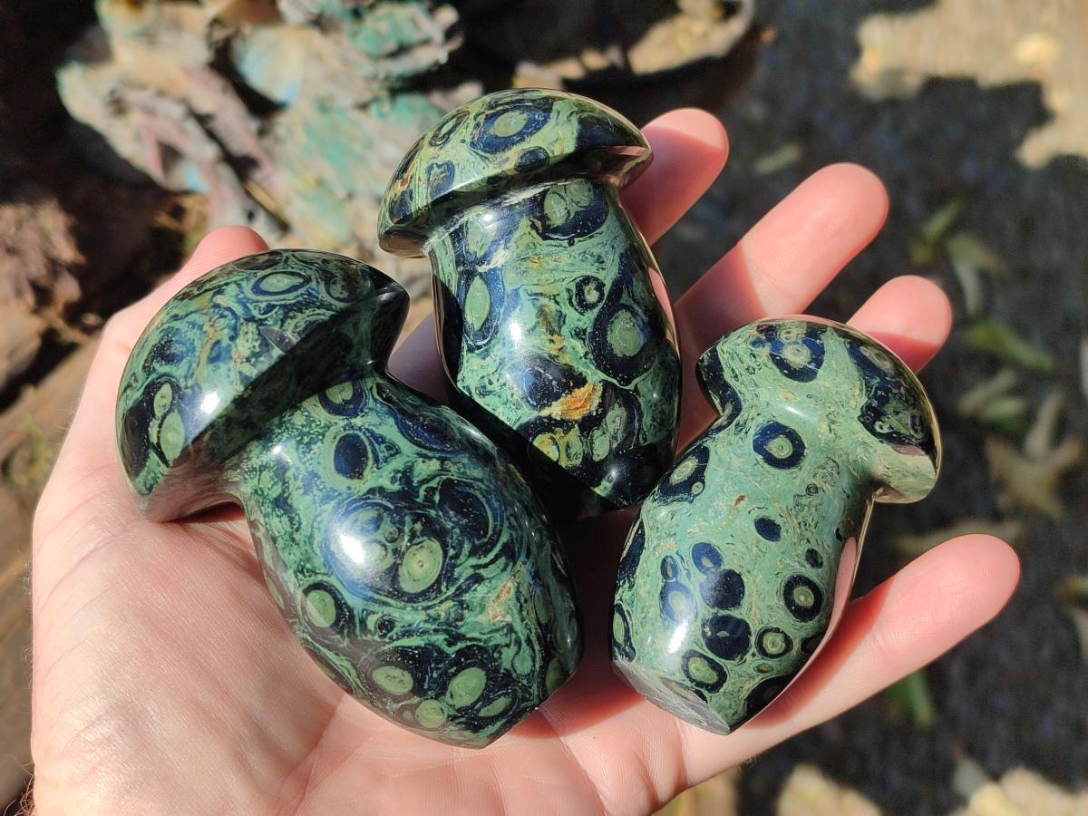 Polished Stromatolite "Kambaba Jasper" Mushrooms x 12 From Katsepy, Madagascar - Toprock Gemstones and Minerals 