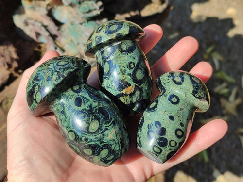 Polished Stromatolite "Kambaba Jasper" Mushrooms x 12 From Katsepy, Madagascar - Toprock Gemstones and Minerals 