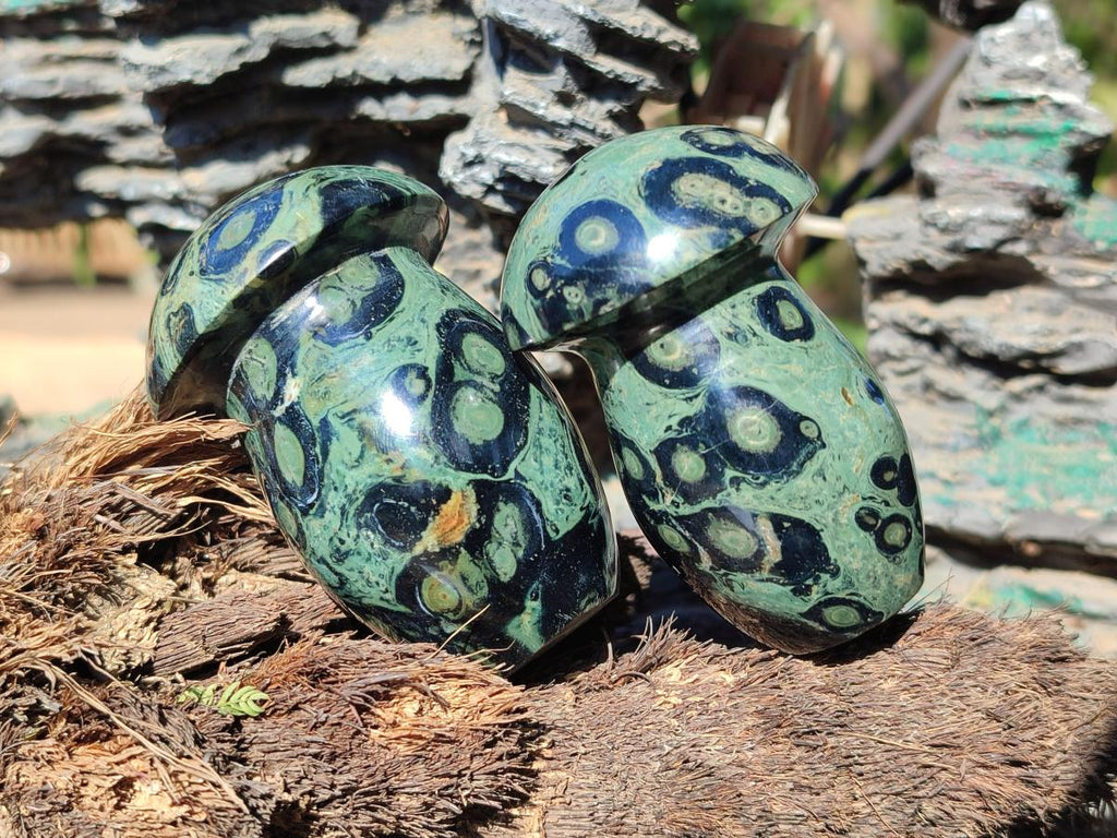 Polished Stromatolite "Kambaba Jasper" Mushrooms x 12 From Katsepy, Madagascar - Toprock Gemstones and Minerals 