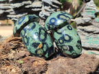 Polished Stromatolite "Kambaba Jasper" Mushrooms x 12 From Katsepy, Madagascar - Toprock Gemstones and Minerals 