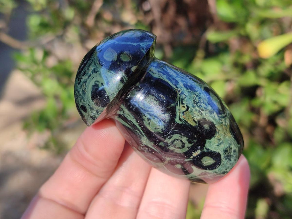 Polished Stromatolite "Kambaba Jasper" Mushrooms x 12 From Katsepy, Madagascar - Toprock Gemstones and Minerals 