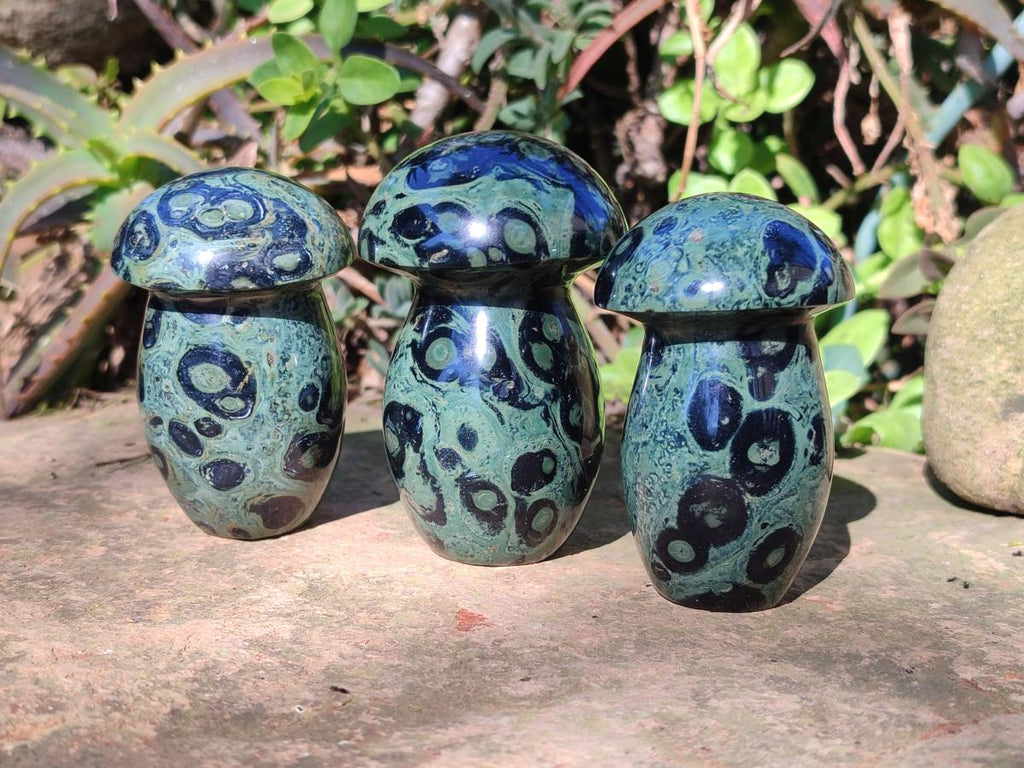 Polished Stromatolite "Kambaba Jasper" Mushrooms x 12 From Katsepy, Madagascar - Toprock Gemstones and Minerals 