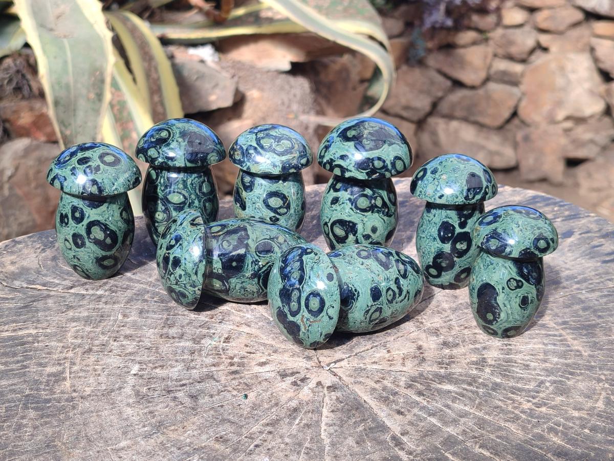 Polished Stromatolite "Kambaba Jasper" Mushrooms x 12 From Katsepy, Madagascar - Toprock Gemstones and Minerals 