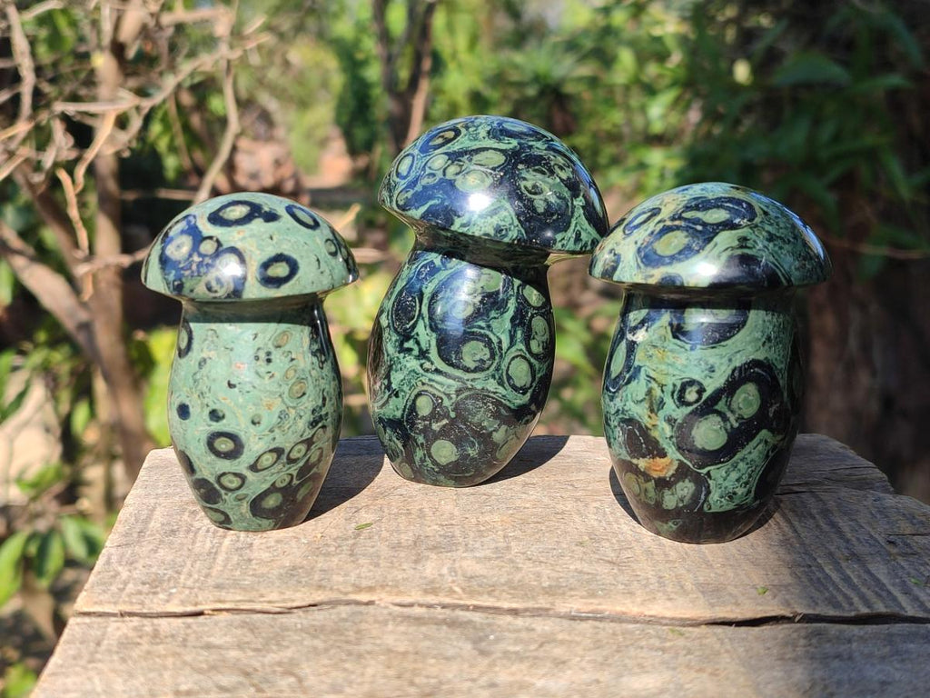 Polished Stromatolite "Kambaba Jasper" Mushrooms x 12 From Katsepy, Madagascar - Toprock Gemstones and Minerals 