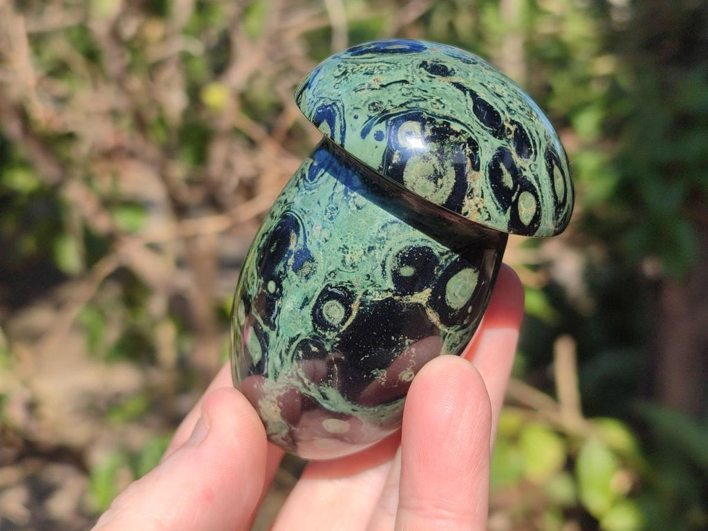 Polished Stromatolite "Kambaba Jasper" Mushrooms x 12 From Katsepy, Madagascar - Toprock Gemstones and Minerals 