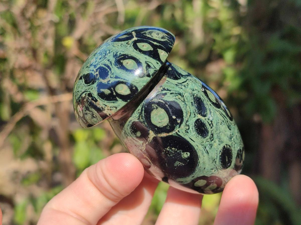Polished Stromatolite "Kambaba Jasper" Mushrooms x 12 From Katsepy, Madagascar - Toprock Gemstones and Minerals 