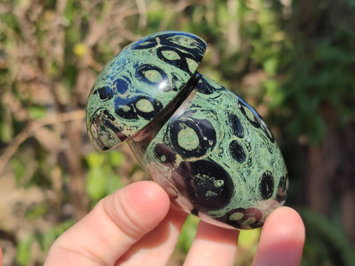 Polished Stromatolite "Kambaba Jasper" Mushrooms x 12 From Katsepy, Madagascar - Toprock Gemstones and Minerals 