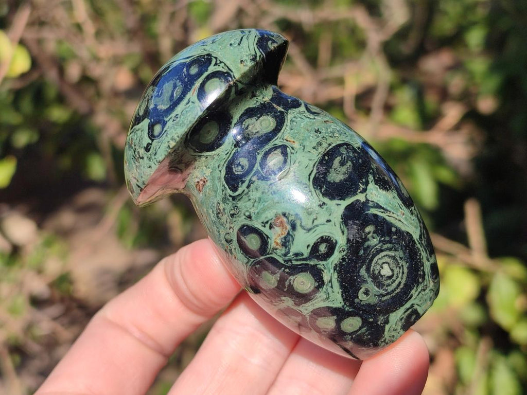 Polished Stromatolite "Kambaba Jasper" Mushrooms x 12 From Katsepy, Madagascar - Toprock Gemstones and Minerals 